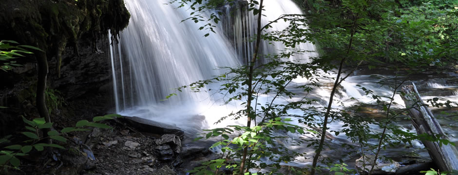 账号批发网站的手机号轰炸在线